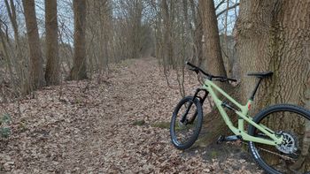 Tweedehands Canyon Spectral 125 CF 7 2023 2023 Mountainbike — afbeelding 3 van 3
