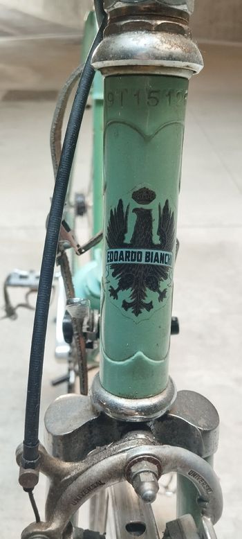 Bianchi Custom Campagnolo Record 1970 Road & Gravel de segunda mano, Verde — imagen 10 de 11