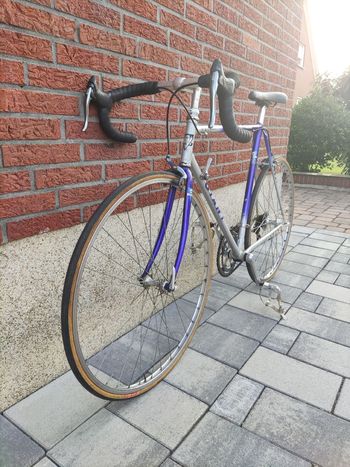 Giant Speeder 1995 Road & Gravel d'occasion — image 10 sur 13