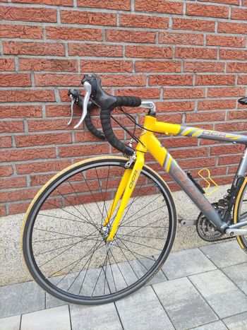 Used Giant OCR Alu Rennrad 2014 Road & Gravel, Light Gray — image 4 of 12