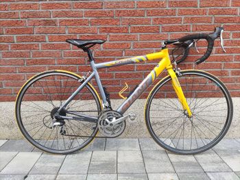 Used Giant OCR Alu Rennrad 2014 Road & Gravel, Light Gray — image 2 of 12