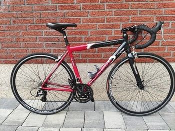 Used Gazelle Primavera Alu Rennrad 2015 Road & Gravel
