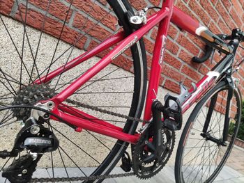 Used Gazelle Primavera Alu Rennrad 2015 Road & Gravel, Red — image 14 of 14