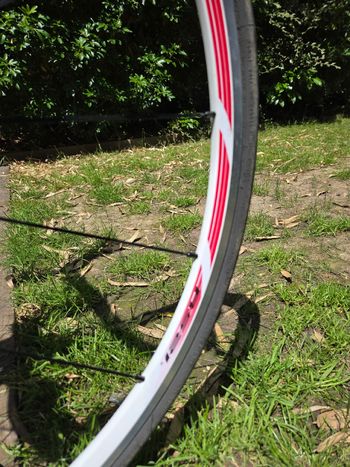 Used De Rosa Custom Shimano Tiagra 2005 Road & Gravel, Red — image 17 of 21