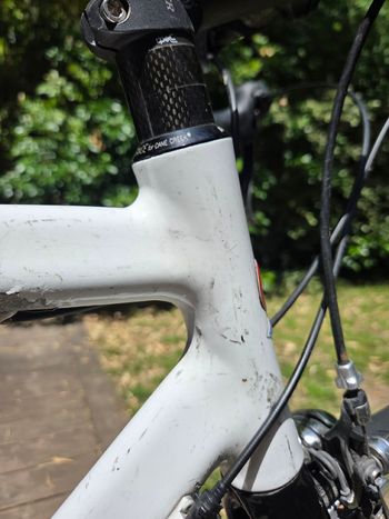 Used De Rosa Custom Shimano Tiagra 2005 Road & Gravel, Red — image 10 of 21