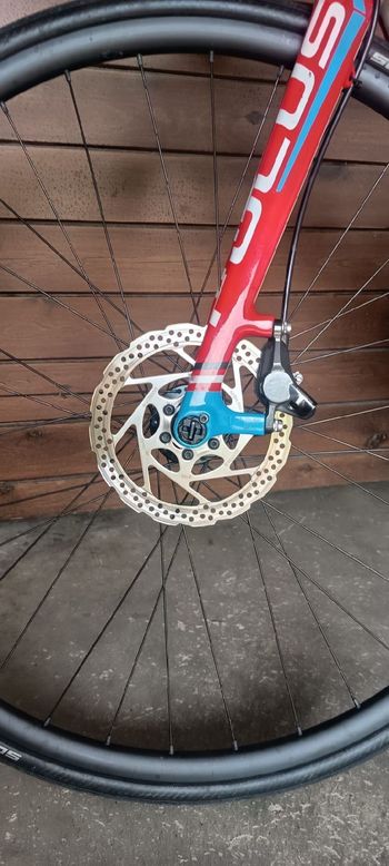 Used Focus Cayo Shimano 105 2015 Road & Gravel, White — image 6 of 7