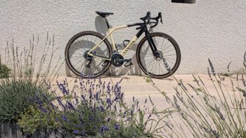 Tweedehands Canyon Grail CF SL 8 2023 2023 Racefiets & gravel