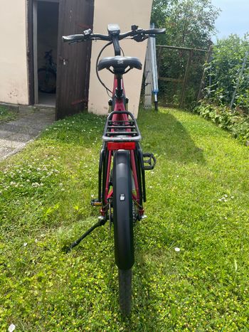 Stevens PT 5 Forma Gent 2021 2021 Urban d'occasion — image 7 sur 11