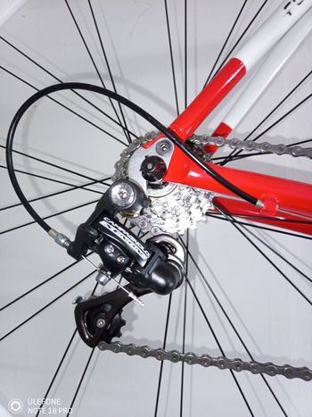 Used Coppi Custom Campagnolo Record 2018 Road & Gravel, Black — image 4 of 4
