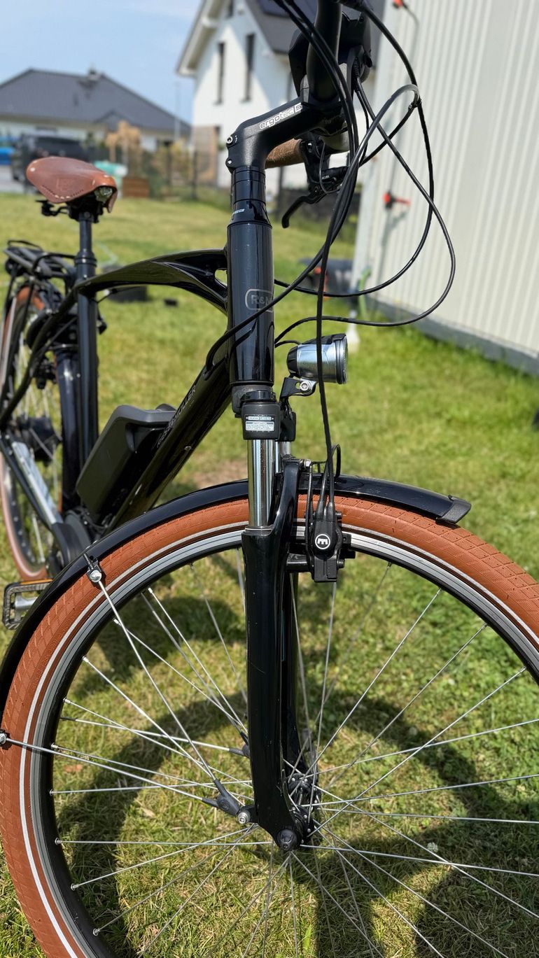 Used Riese & Müller Custom Enviolo Hub Gear 2017 Urban, Black — image 10 of 14