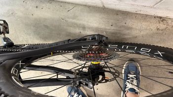 Whistle B-RUSH C.8.2 2022 Mountainbike d'occasion — image 4 sur 6