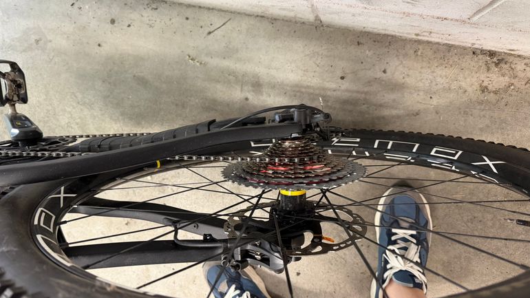 Whistle B-RUSH C.8.2 2022 Mountainbike d'occasion — image 4 sur 6
