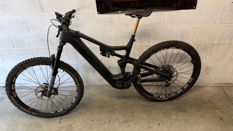 Whistle B-RUSH C.8.2 2022 Mountainbike d'occasion — image 2 sur 6
