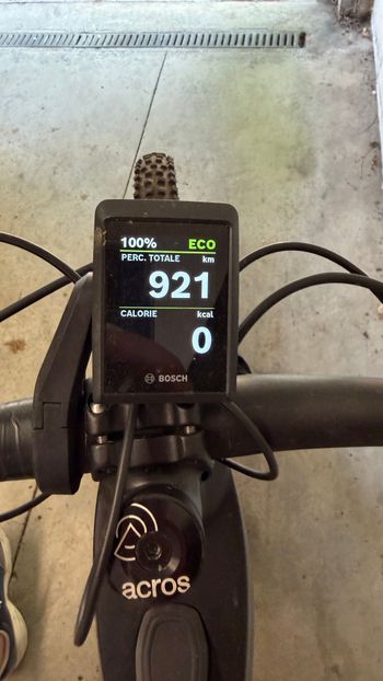 Whistle B-RUSH C.8.2 2022 VTT d'occasion