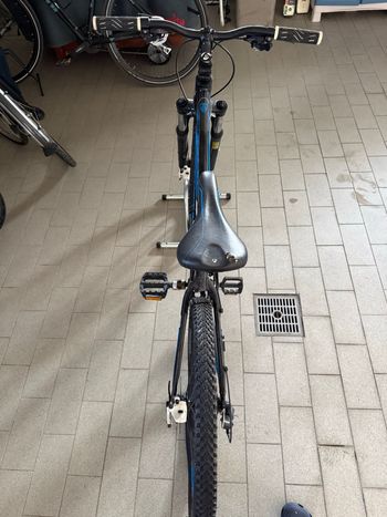Used Trek Custom Other Campagnolo 2015 Mountainbike, Blue — image 3 of 6