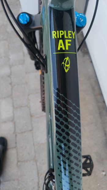 Ibis Cycles Custom Shimano Deore 2022 Mountainbike d'occasion — image 8 sur 10