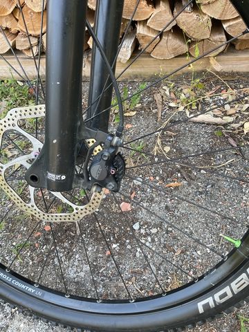 Used Canyon Exceed CF 5 2022 2022 Mountainbike, Light Gray, 29 — image 6 of 14
