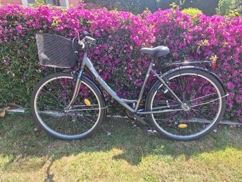 Used B’TWIN Elops 920 Step Over Classic Bike 2020 2020 Urban, Black — image 2 of 10