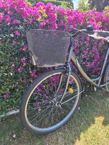 Used B’TWIN Elops 920 Step Over Classic Bike 2020 2020 Urban, Black — image 10 of 10