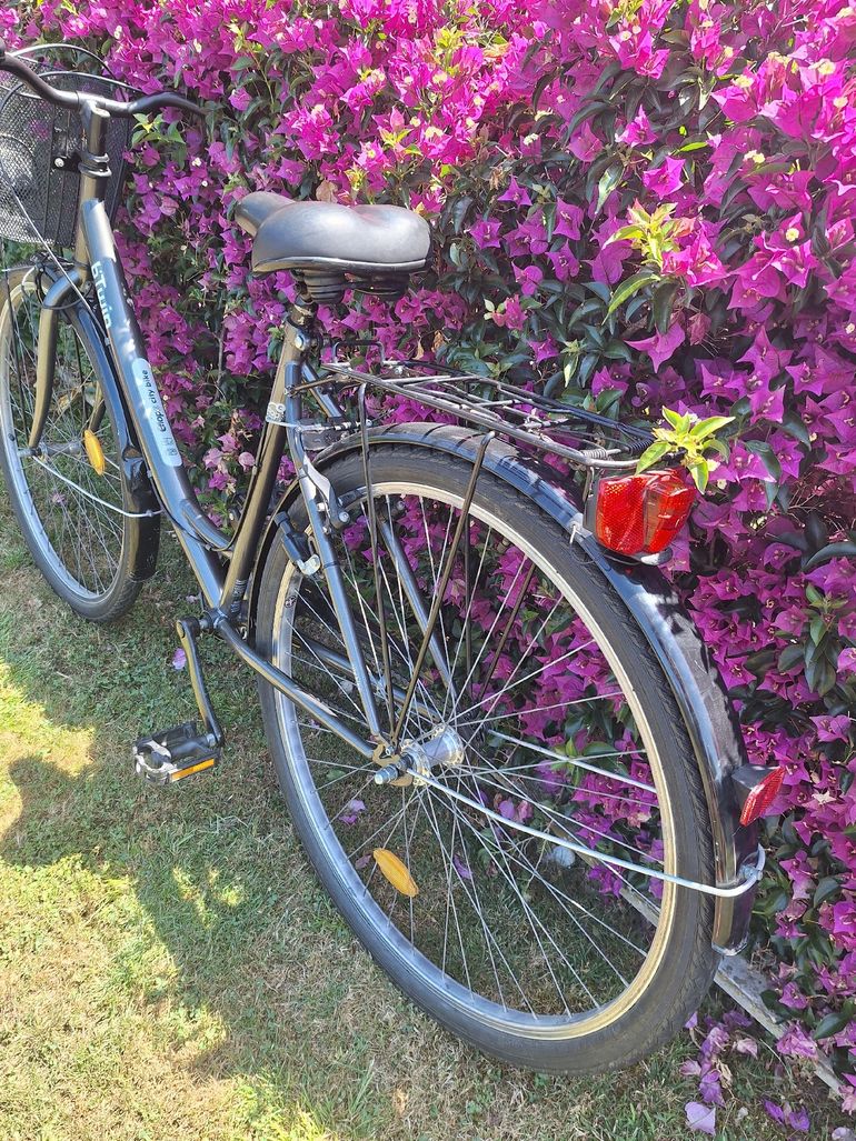 Used B’TWIN Elops 920 Step Over Classic Bike 2020 2020 Urban, Black — image 9 of 10