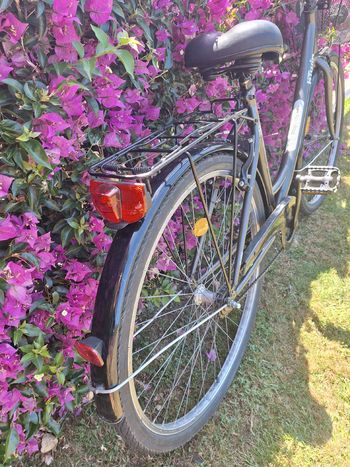 Used B’TWIN Elops 920 Step Over Classic Bike 2020 2020 Urban, Black — image 7 of 10
