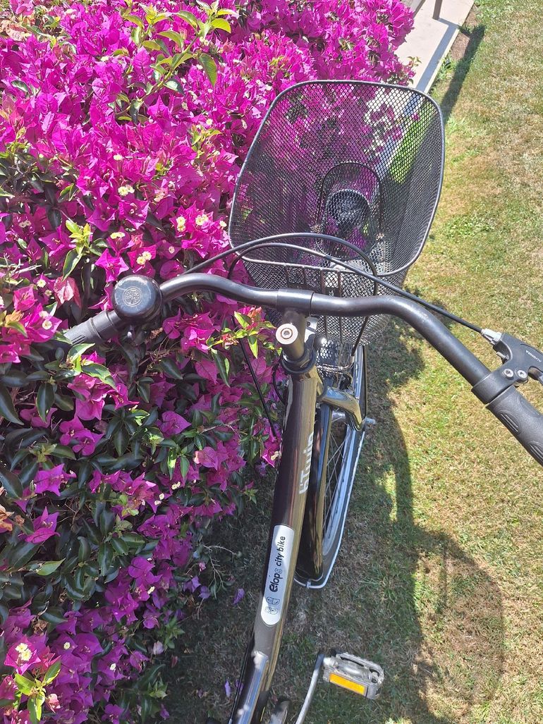 Used B’TWIN Elops 920 Step Over Classic Bike 2020 2020 Urban, Black — image 4 of 10