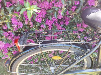 Used B’TWIN Elops 920 Step Over Classic Bike 2020 2020 Urban, Black — image 8 of 10