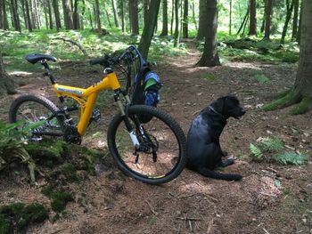 Bergwerk Custom Shimano XTR 2001 Mountainbike d'occasion — image 8 sur 9