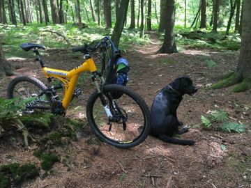 Used Bergwerk Custom Shimano XTR 2001 Mountainbike, Orange — image 8 of 9