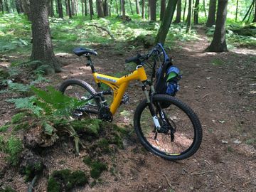 Used Bergwerk Custom Shimano XTR 2001 Mountainbike, Orange — image 7 of 9