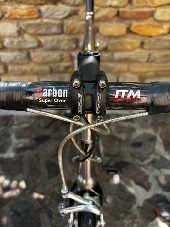 Used Litespeed Vortex Campagnolo Record 2005 Road & Gravel, Light Gray — image 6 of 7