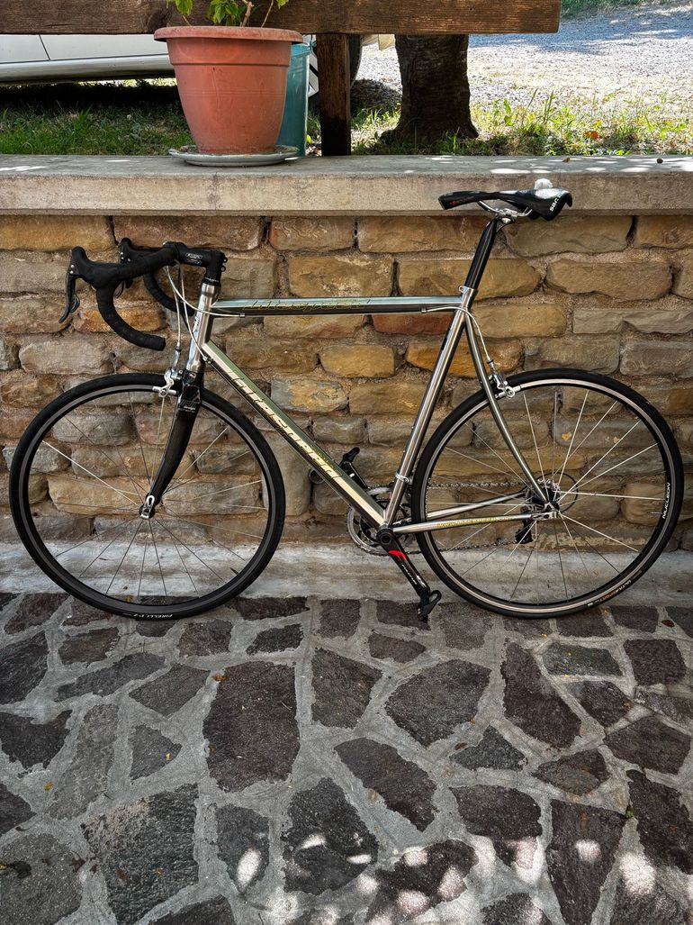 Used Litespeed Vortex Campagnolo Record 2005 Road & Gravel, Light Gray — image 2 of 7