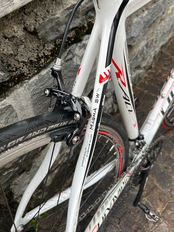 Brugt Olympia Custom Campagnolo Veloce 2015 Road & Gravel — billede 6 af 7