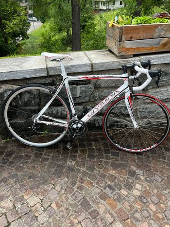 Used Olympia Custom Campagnolo Veloce 2015 Road & Gravel
