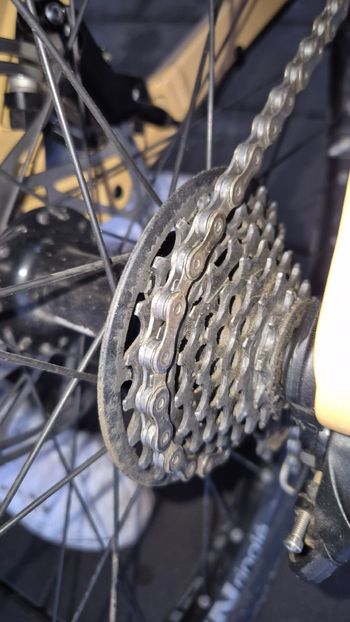 Rose SCRUB SRAM GX 2024 Mountainbike d'occasion — image 4 sur 13