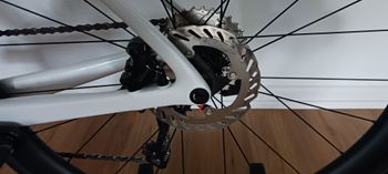 Używany Cannondale Supersix Evo 5 2026 Road & Gravel — zdjęcie 6 z 10