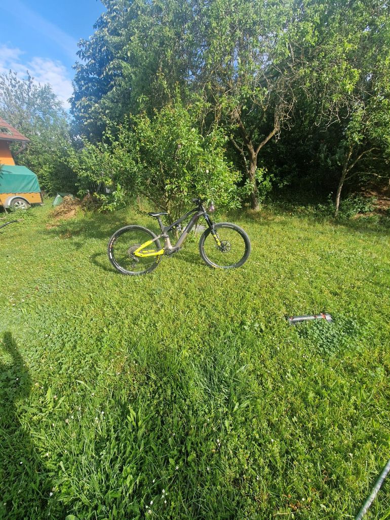 Haibike LYKE CF 11 2023 2023 Mountainbike d'occasion — image 1 sur 7