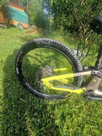 Haibike LYKE CF 11 2023 2023 Mountainbike d'occasion — image 5 sur 7