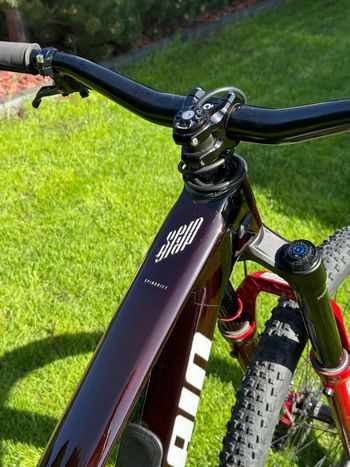 Used Propain SPINDRIFT 5 CF Ultimate 2026 2026 Mountainbike, Red, 29 — image 7 of 8