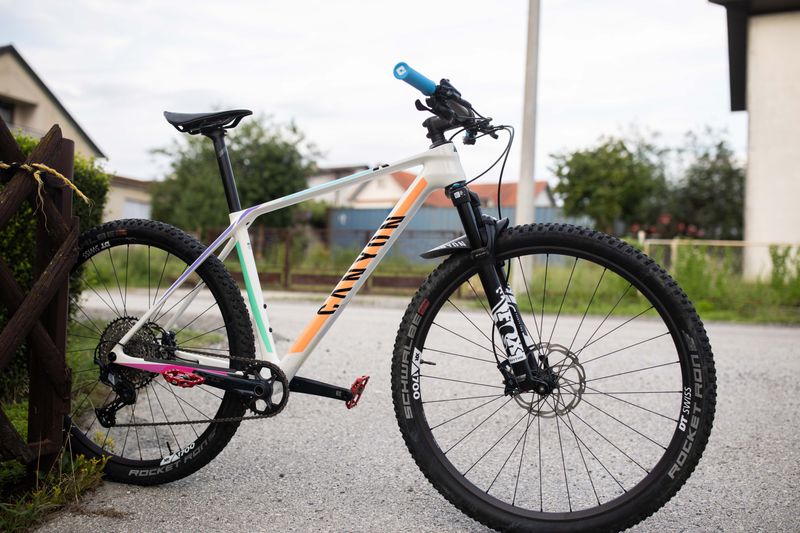 Used Canyon Exceed CF 6 2022 2022 Mountainbike, White, 29 — image 1 of 20