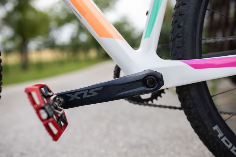 Used Canyon Exceed CF 6 2022 2022 Mountainbike, White, 29 — image 11 of 20