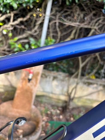 Trek Marlin 4 Gen 2 2024 2024 Mountainbike d'occasion — image 6 sur 12