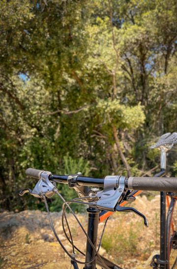 Peugeot Custom Shimano Claris 2000 Road & Gravel d'occasion — image 2 sur 6