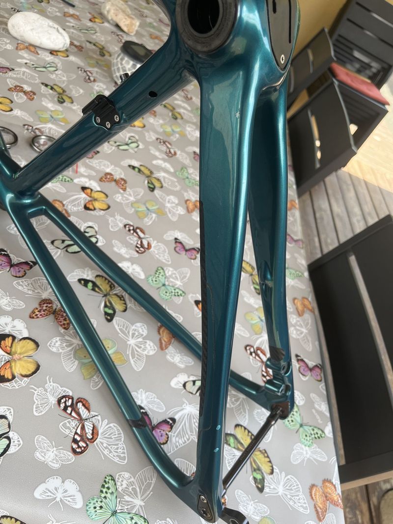 Used Bianchi Specialissima - Frame Kit 2022 Frameset 2022 Road & Gravel, Blue — image 24 of 25
