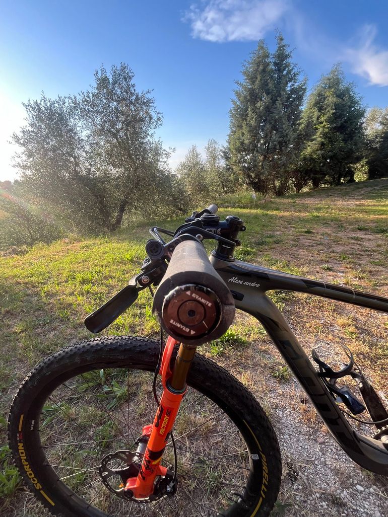 Używany Giant anthem pro Custom Frameset 2020 Mountainbike — zdjęcie 10 z 11