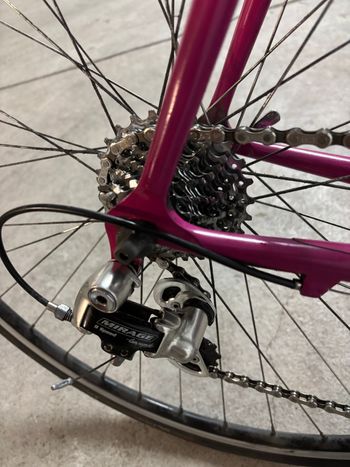 Tweedehands Pinarello Team Telekom Sammlerstück 1996 Road & Gravel — afbeelding 3 van 6