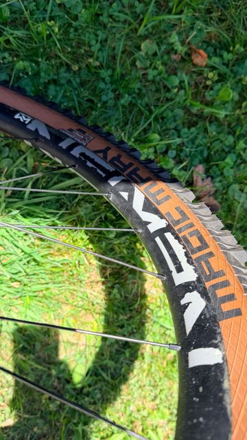 Brugt Propain Tyee CF 29 Highend 2021 2021 Mountainbike — billede 35 af 56