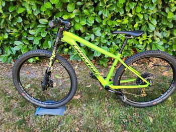 Used Cannondale F-si SRAM XX1 Eagle 2018 Mountainbike, Green — image 2 of 12