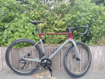 Focus IZALCO MAX 8.9 2024 2024 Carretera y gravel de segunda mano