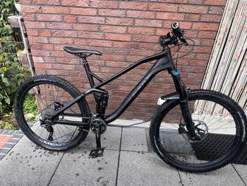 Gebrauchtes Canyon Spectral 125 AL 6 2022 2022 MTB